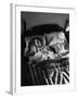 Man Snoring to the Point That His Wife Cannot Even Sleep in the Same Bed Any More-null-Framed Photographic Print