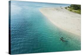 Man snorkeling in the beautiful lagoon of Ouvea, Loyalty Islands, New Caledonia, Pacific-Michael Runkel-Stretched Canvas