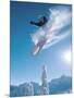 Man snowboarding on sunnny day-Henry Georgi-Mounted Premium Photographic Print