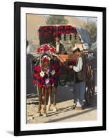 Man Standing by Colourful Horse Cart, Maimana, Faryab Province, Afghanistan-Jane Sweeney-Framed Photographic Print