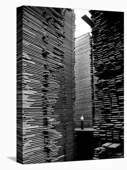 Man Standing in the Lumberyard of Seattle Cedar Lumber Manufacturing-Alfred Eisenstaedt-Stretched Canvas