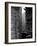 Man Standing in the Lumberyard of Seattle Cedar Lumber Manufacturing-Alfred Eisenstaedt-Framed Photographic Print