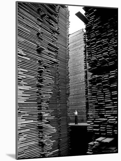 Man Standing in the Lumberyard of Seattle Cedar Lumber Manufacturing-Alfred Eisenstaedt-Mounted Photographic Print