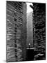 Man Standing in the Lumberyard of Seattle Cedar Lumber Manufacturing-Alfred Eisenstaedt-Mounted Photographic Print