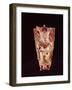 Man Standing on a Turtle, 'The Creator of the World'-Mayan-Framed Giclee Print