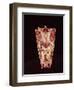 Man Standing on a Turtle, 'The Creator of the World'-Mayan-Framed Giclee Print