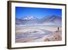 Man Standing on Rocks Looking over Miscanti Laguna, Turquoise Mineral Lake, San Pedro De Atacama-Kimberly Walker-Framed Photographic Print