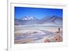 Man Standing on Rocks Looking over Miscanti Laguna, Turquoise Mineral Lake, San Pedro De Atacama-Kimberly Walker-Framed Photographic Print