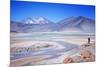 Man Standing on Rocks Looking over Miscanti Laguna, Turquoise Mineral Lake, San Pedro De Atacama-Kimberly Walker-Mounted Photographic Print