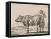 Man standing with bull-Adriaen van de Velde-Framed Stretched Canvas