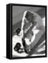 Man Stretching in Gym, New York, New York, USA-Chris Trotman-Framed Stretched Canvas