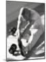 Man Stretching in Gym, New York, New York, USA-Chris Trotman-Mounted Photographic Print