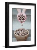 Man Strewing Walnuts into a Bulrush Basket on Stairs-Joe Petersburger-Framed Photographic Print