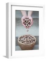 Man Strewing Walnuts into a Bulrush Basket on Stairs-Joe Petersburger-Framed Photographic Print