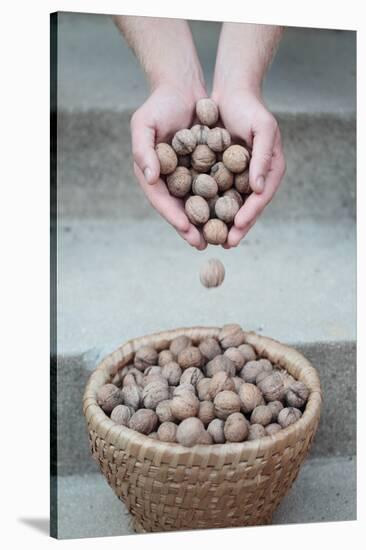 Man Strewing Walnuts into a Bulrush Basket on Stairs-Joe Petersburger-Stretched Canvas