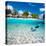 Man Swimming in a Tropical Lagoon in Front of Exotic Island-BlueOrange Studio-Stretched Canvas