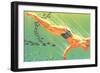 Man Swimming with Fish-Found Image Press-Framed Photographic Print
