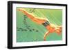 Man Swimming with Fish-null-Framed Art Print