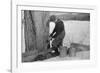 Man Tapping Sugar Maple Tree to Collect Maple Syrup, Vermont, 1940-Marion Post Wolcott-Framed Photographic Print