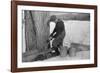 Man Tapping Sugar Maple Tree to Collect Maple Syrup, Vermont, 1940-Marion Post Wolcott-Framed Photographic Print