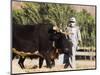 Man Threshing with Oxen, Bamiyan, Bamiyan Province, Afghanistan-Jane Sweeney-Mounted Photographic Print