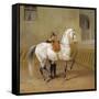 Man Training a Horse, 1856-Albrecht Adam-Framed Stretched Canvas