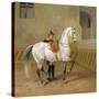 Man Training a Horse, 1856-Albrecht Adam-Stretched Canvas