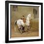 Man Training a Horse, 1856-Albrecht Adam-Framed Giclee Print