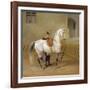 Man Training a Horse, 1856-Albrecht Adam-Framed Giclee Print