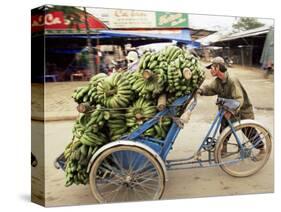 Man Transporting Bananas on Cyclo, Hue, Vietnam, Indochina, Southeast Asia, Asia-Colin Brynn-Stretched Canvas