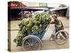 Man Transporting Bananas on Cyclo, Hue, Vietnam, Indochina, Southeast Asia, Asia-Colin Brynn-Stretched Canvas