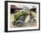 Man Transporting Bananas on Cyclo, Hue, Vietnam, Indochina, Southeast Asia, Asia-Colin Brynn-Framed Photographic Print