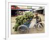 Man Transporting Bananas on Cyclo, Hue, Vietnam, Indochina, Southeast Asia, Asia-Colin Brynn-Framed Photographic Print