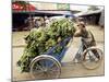 Man Transporting Bananas on Cyclo, Hue, Vietnam, Indochina, Southeast Asia, Asia-Colin Brynn-Mounted Photographic Print