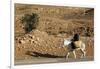 Man traveling on a donkey, Douirette, Tataouine, Tunisia-Godong-Framed Photographic Print