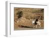 Man traveling on a donkey, Douirette, Tataouine, Tunisia-Godong-Framed Photographic Print