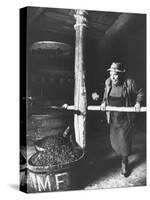 Man Using Old Wine Press at Vaux En Beauiplais Vineyard-Carlo Bavagnoli-Stretched Canvas