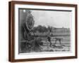 Brown Frame
