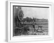 White Frame