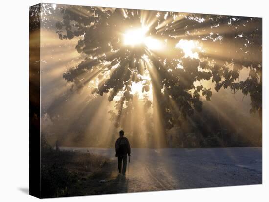 Man Walking Along a Street with Sun Rays Shining Through a Tree, Highlands, Myanmar-Michael Runkel-Stretched Canvas