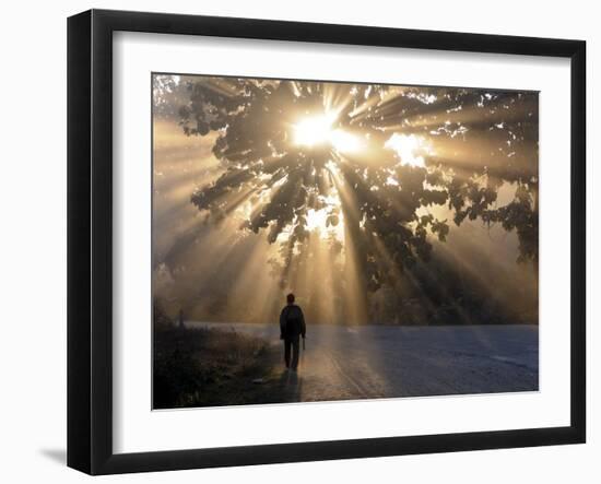 Man Walking Along a Street with Sun Rays Shining Through a Tree, Highlands, Myanmar-Michael Runkel-Framed Photographic Print