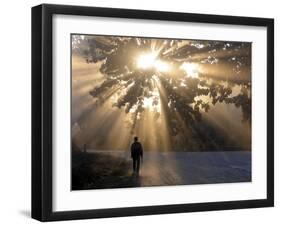 Man Walking Along a Street with Sun Rays Shining Through a Tree, Highlands, Myanmar-Michael Runkel-Framed Photographic Print