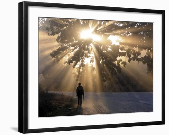 Man Walking Along a Street with Sun Rays Shining Through a Tree, Highlands, Myanmar-Michael Runkel-Framed Photographic Print