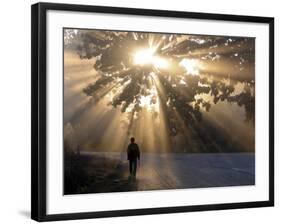 Man Walking Along a Street with Sun Rays Shining Through a Tree, Highlands, Myanmar-Michael Runkel-Framed Photographic Print