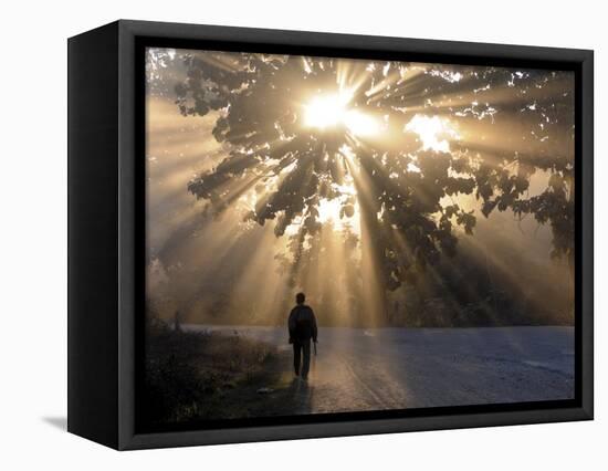 Man Walking Along a Street with Sun Rays Shining Through a Tree, Highlands, Myanmar-Michael Runkel-Framed Stretched Canvas
