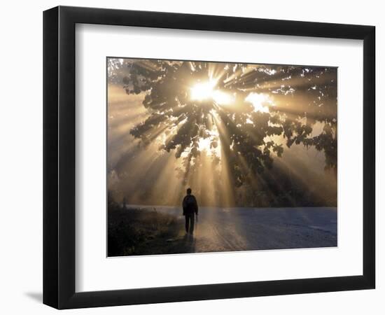 Man Walking Along a Street with Sun Rays Shining Through a Tree, Highlands, Myanmar-Michael Runkel-Framed Photographic Print