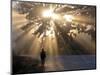 Man Walking Along a Street with Sun Rays Shining Through a Tree, Highlands, Myanmar-Michael Runkel-Mounted Photographic Print