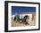 Man Walking Behind Women on Donkeys, Syadara, Between Yakawlang and Daulitiar, Afghanistan-Jane Sweeney-Framed Photographic Print