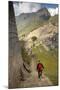 Man Walking Down Stone Steps of Machu Picchu, Peru-Merrill Images-Mounted Premium Photographic Print