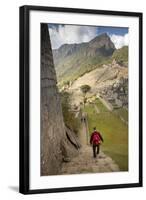 Man Walking Down Stone Steps of Machu Picchu, Peru-Merrill Images-Framed Photographic Print